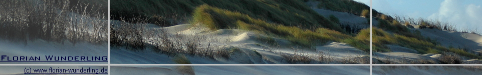 zur Homepage